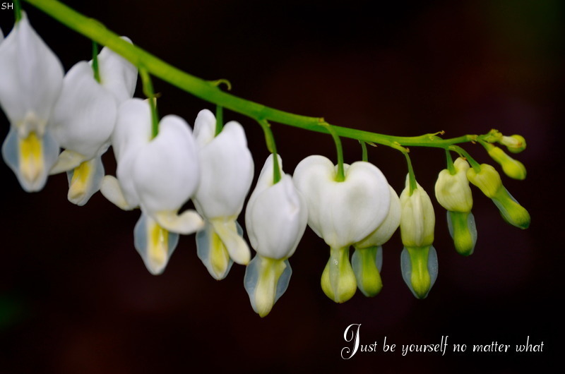 Just be yourself no matter what