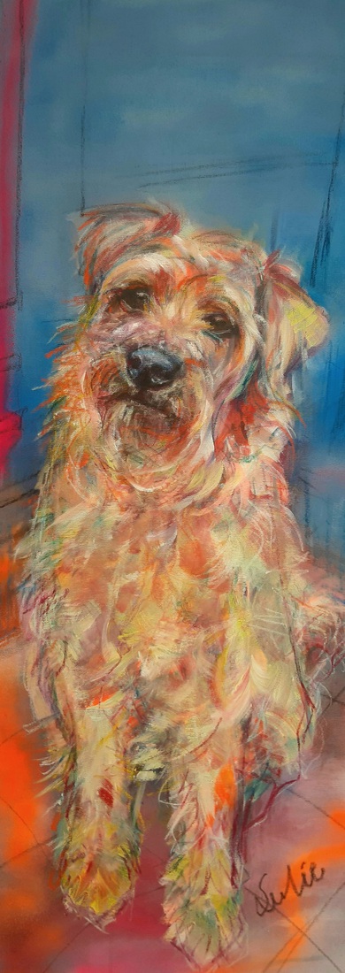 Hond, Soft-coated Wheaten Terrier, hondenschilderij