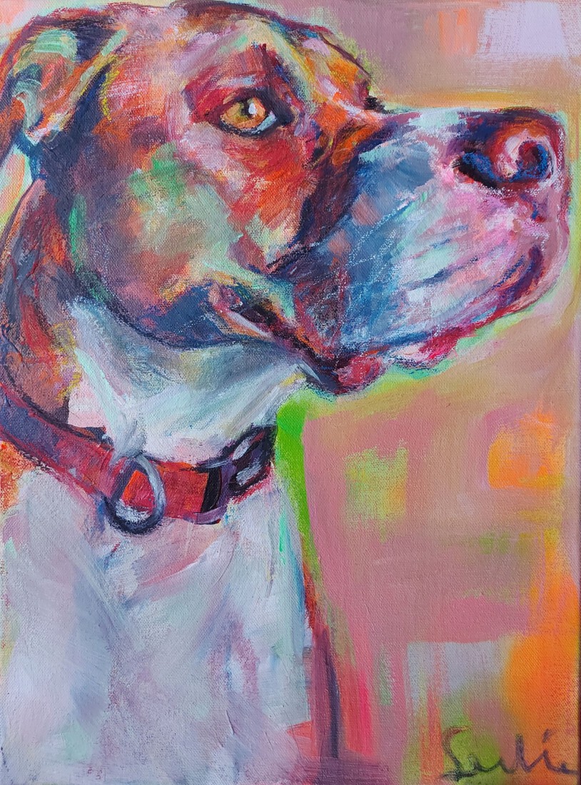 Hond, portret Amerikaanse Bulldog kruising, hondenschilderij