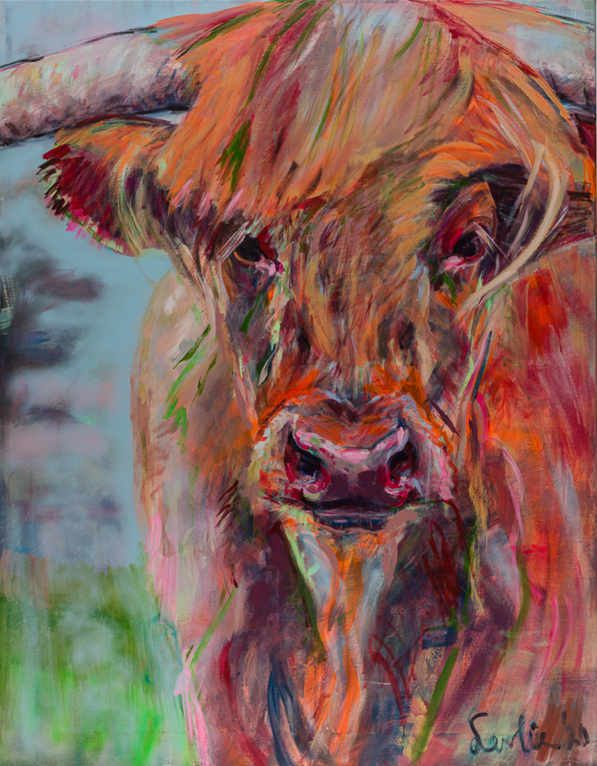 Koe portret, Schotse Hooglander, koeienschilderij