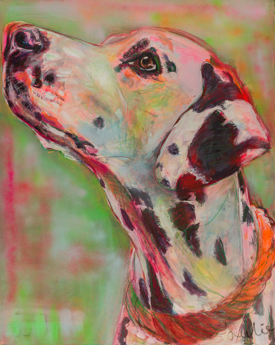 Hond, portret Dalmatiër, hondenschilderij