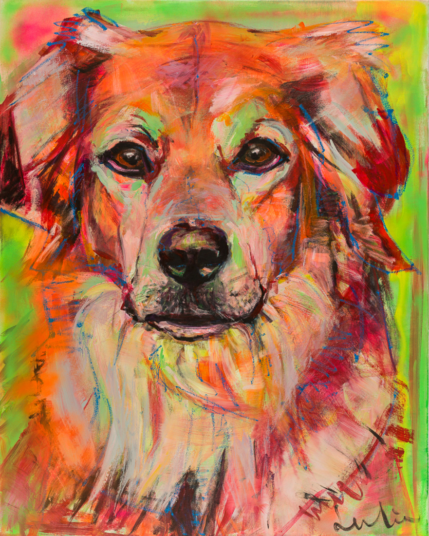 Hond, portret Bernersennen Labrador mix, hondenschilderij
