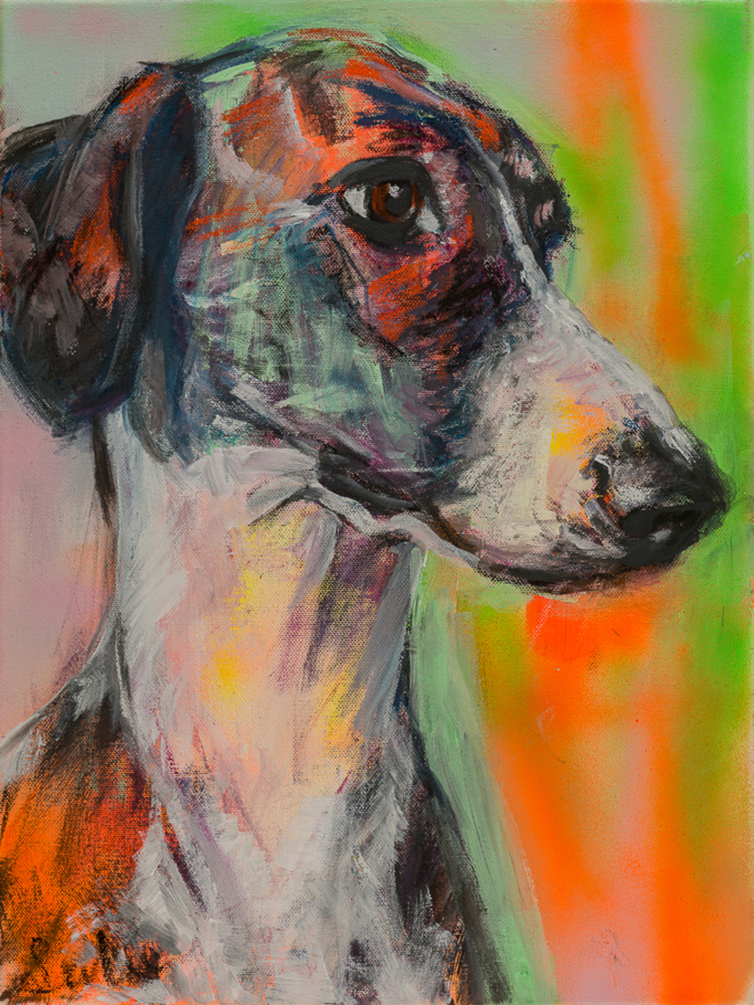Hond, portret van een Galgo, hondenschilderij