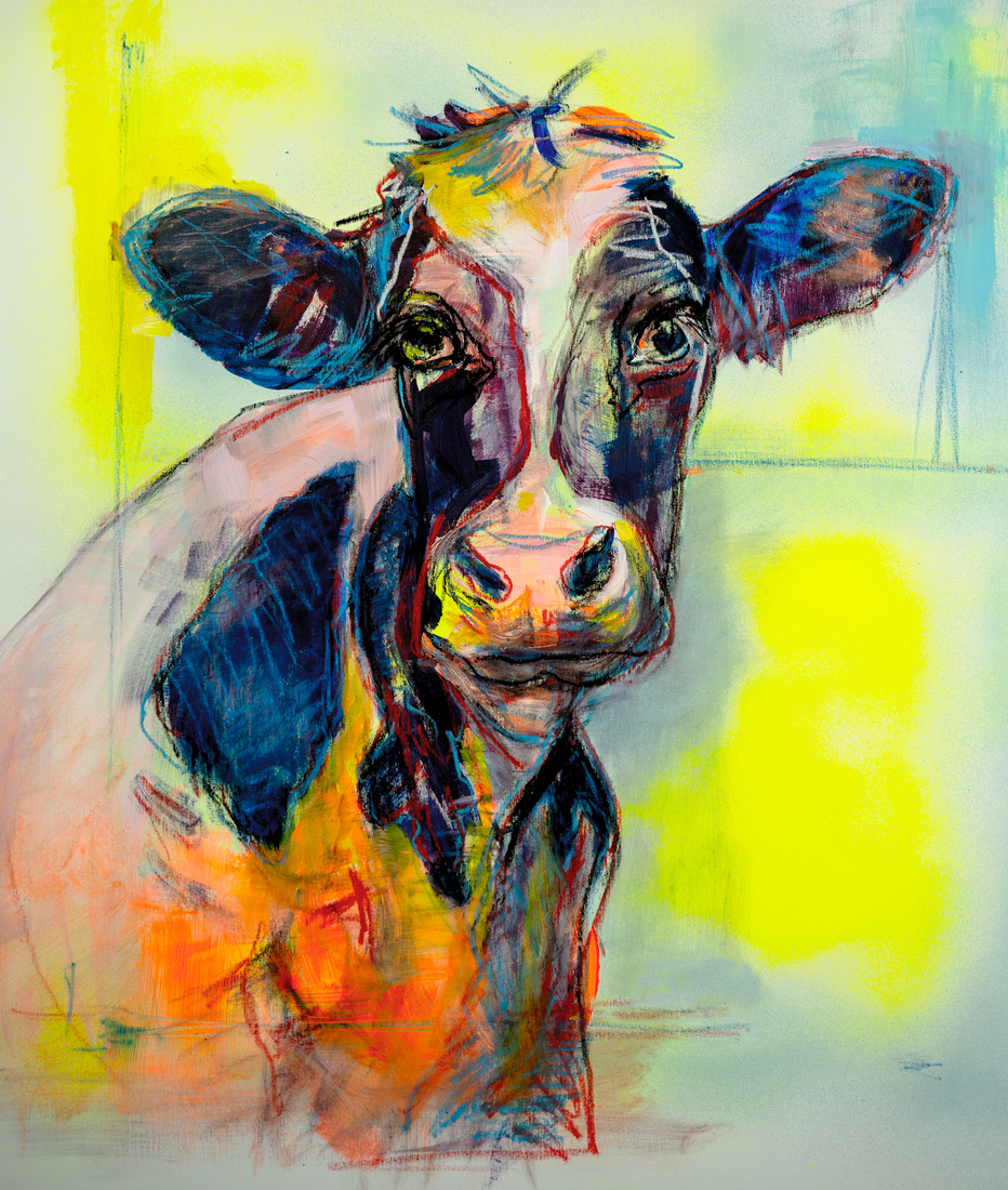 Portret Friese koe