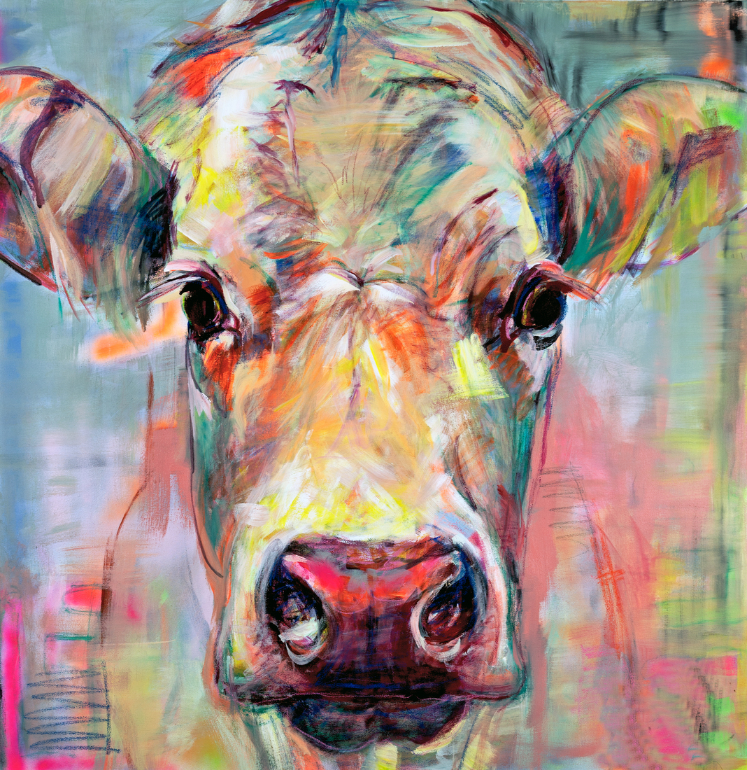 Cow portrait 'sweet lady Jane'