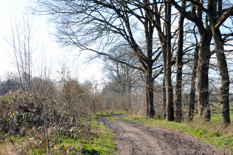 Steenfabriek
