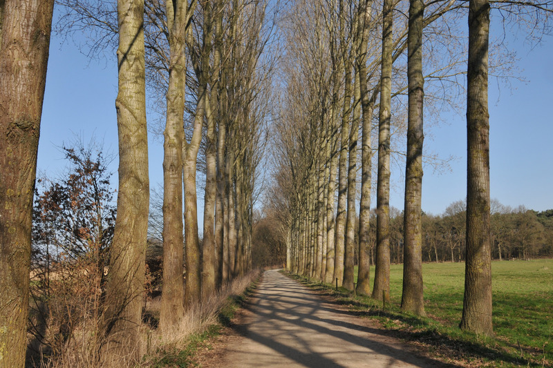 Watermolen brug