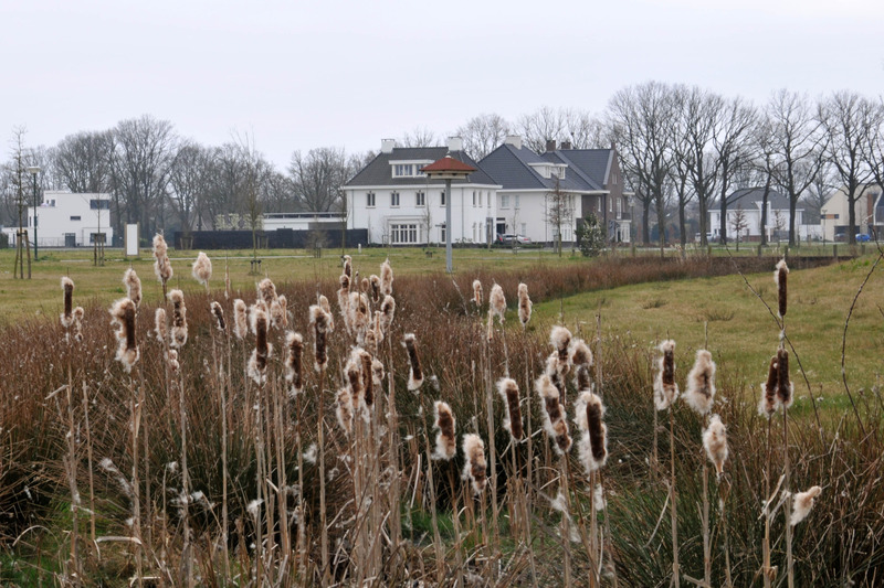 Soniuswijk