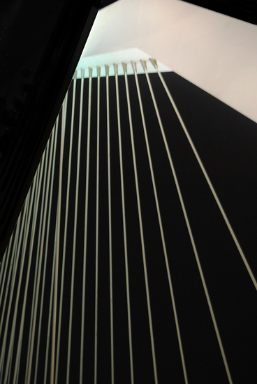 Erasmus brug