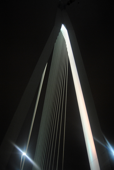 Erasmus brug
