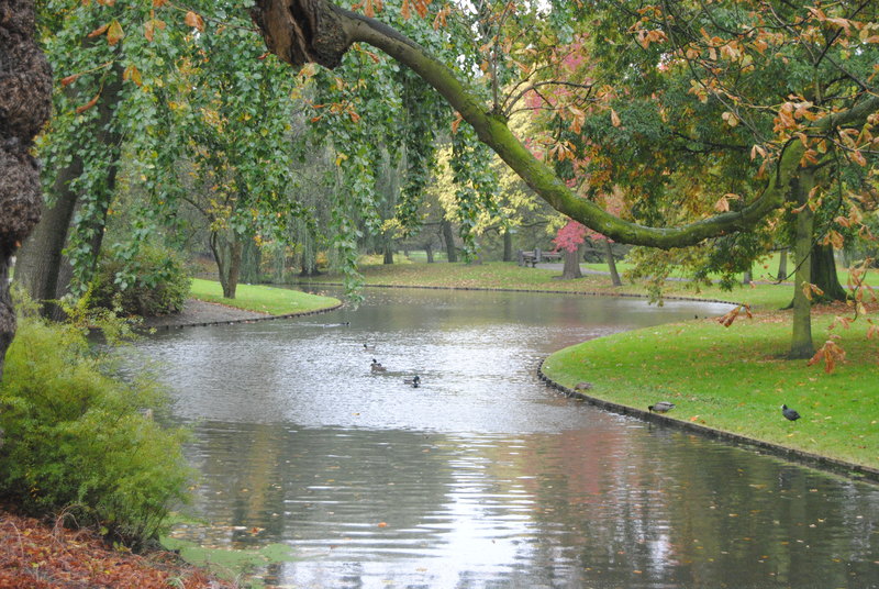 Park laan