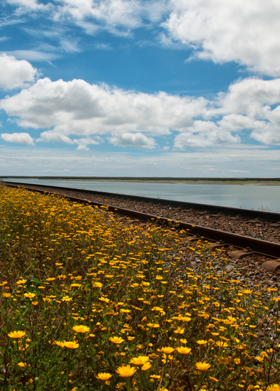 Faro spoor 1