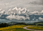 alpenweide