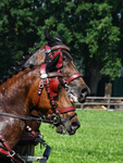 Valkenswaard 26-05-2018