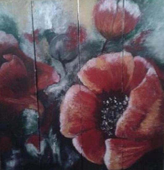 klaproos op steigerhout