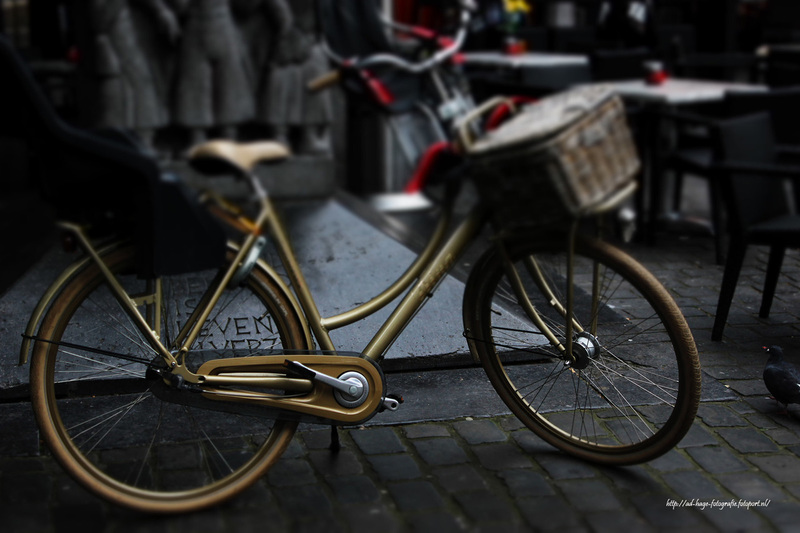 dames fiets alles dr op en aan