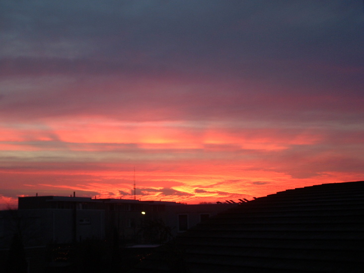 Christmas Morning 2007 / 7.30 am.