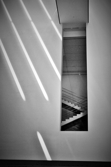 Shadows at Moma