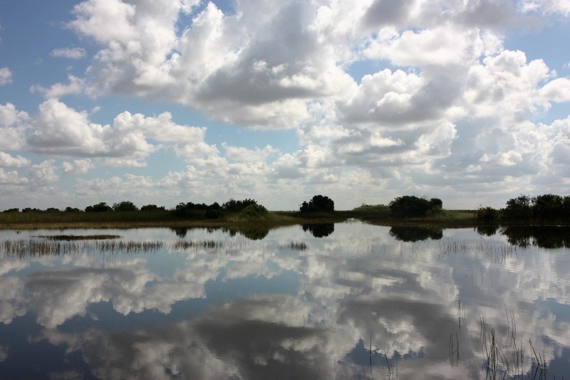 Everglades