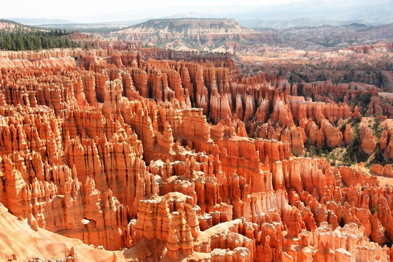 Amphie Teater Bryce Canyon