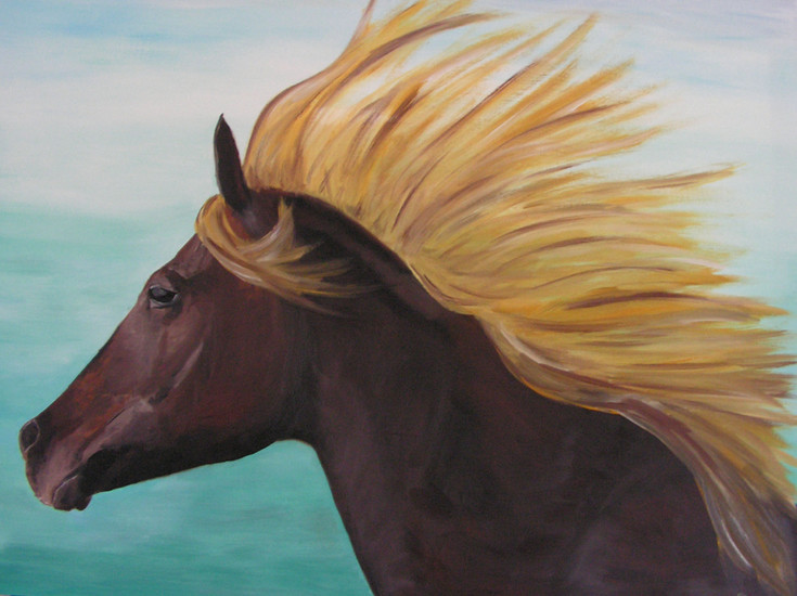 Paard
