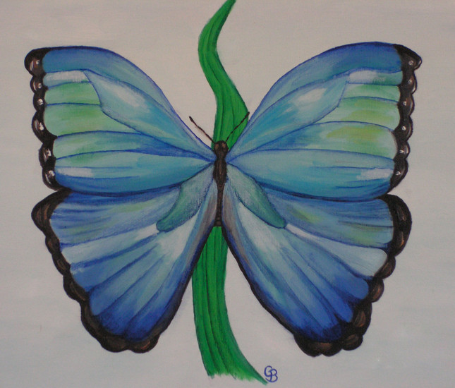 Vlinder