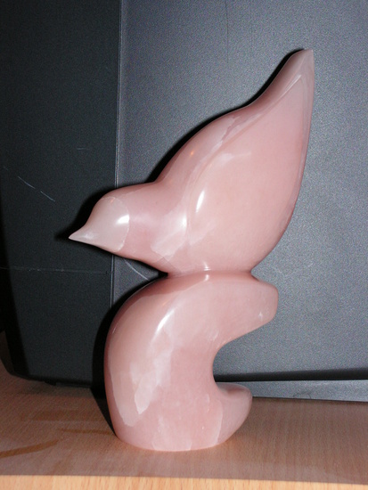 Vogel