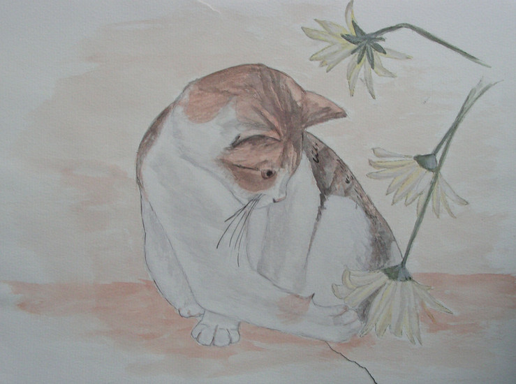 Kat