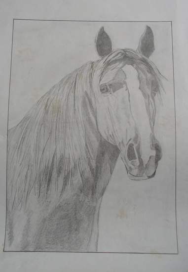 Paard 2