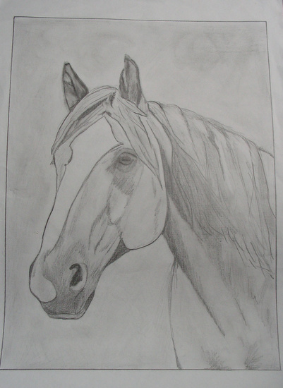 Paard 3