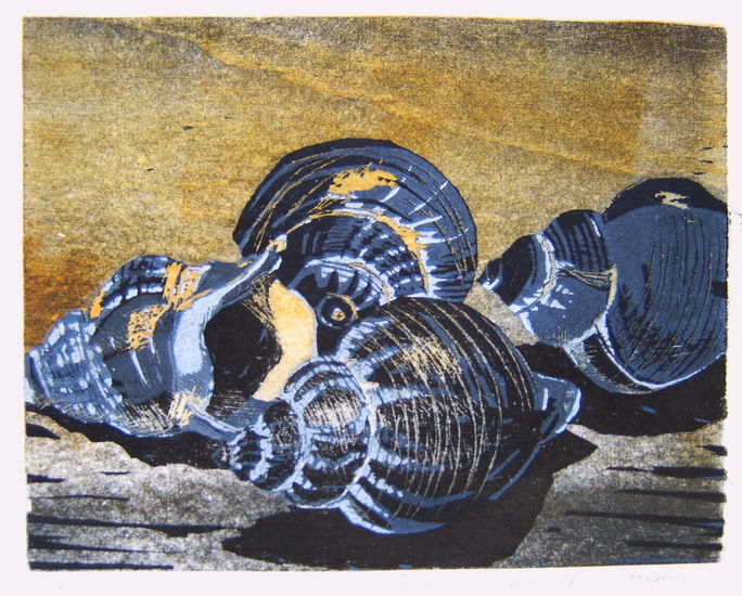 Schelpen