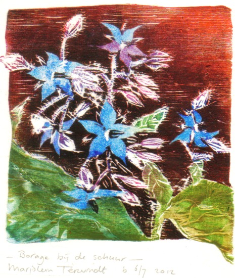 Borage bij de schuur