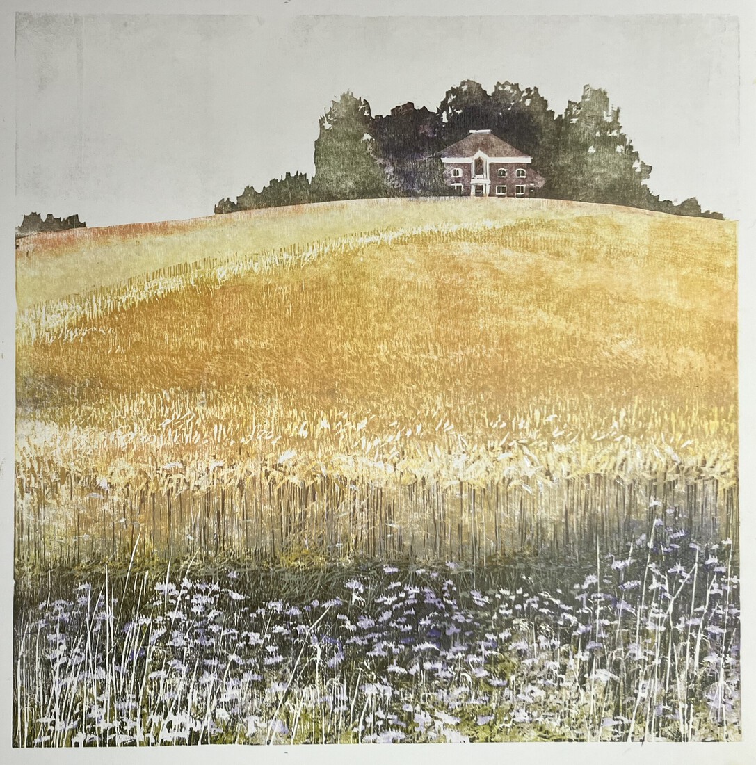 Daar woont een armzalige volk op hoge terpen..... (Plinius de Oudere, 50 n Chr.), 500 