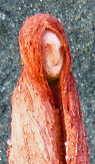 Doubt, detail