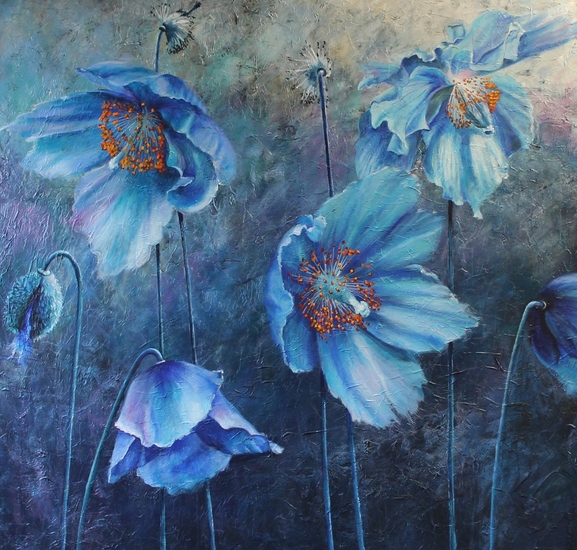 Blauw himalaya papavers