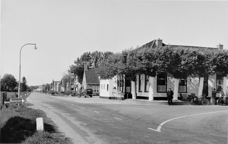 Damsterweg-Witte Linden