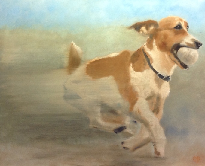 Hond