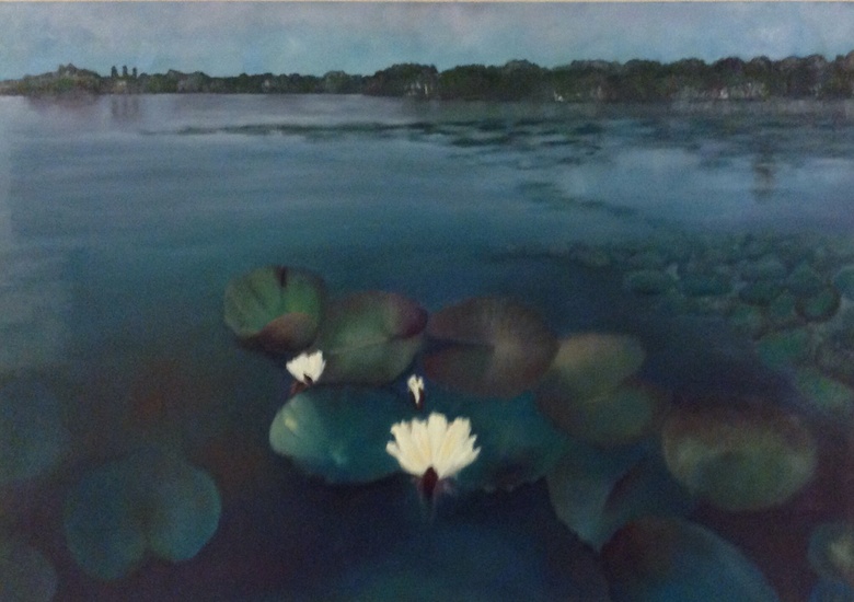 Veenmoeras waterlelies