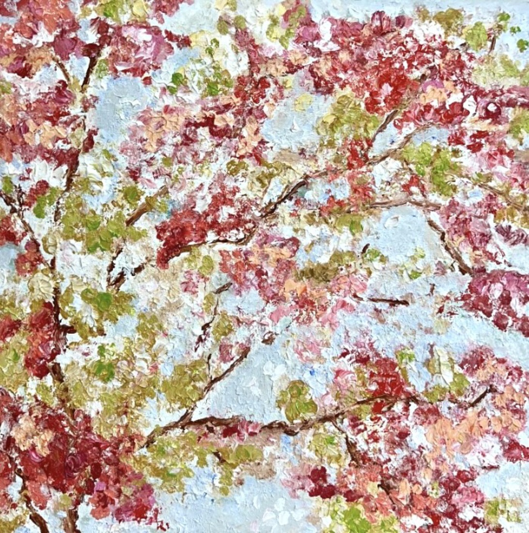 Blossomday 