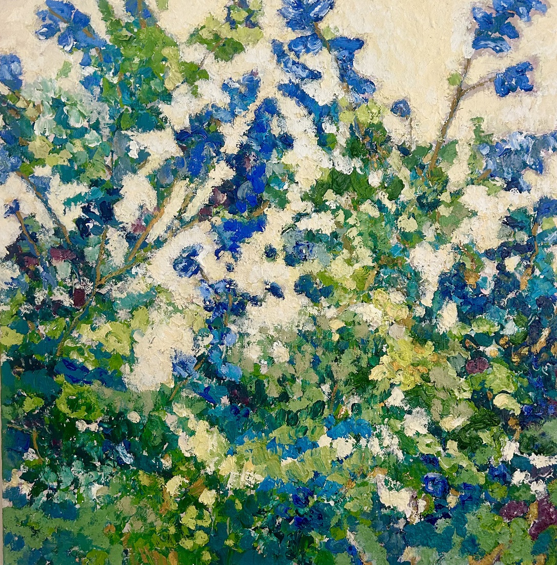 Wild flowers 