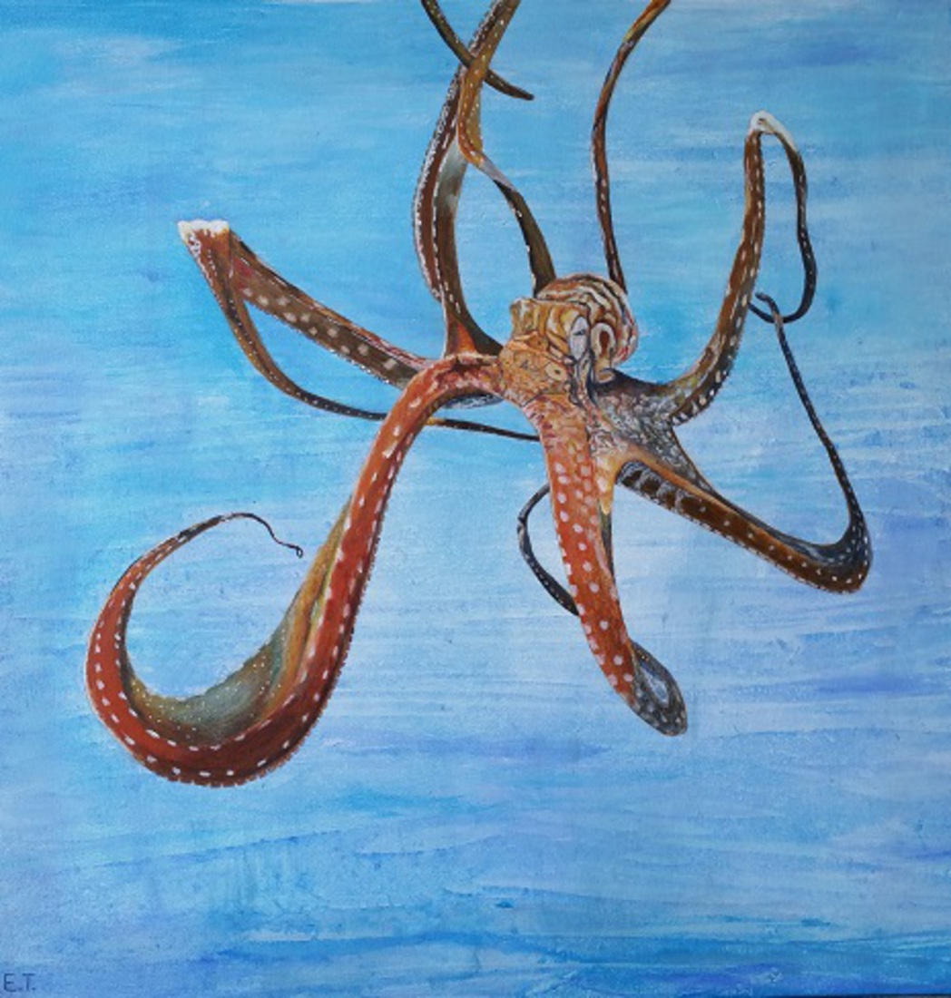 Octopus danst in de zee