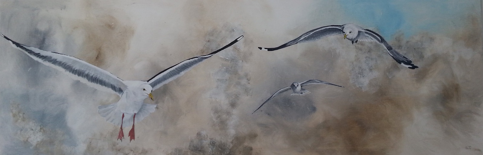 Vluchten voor de storm