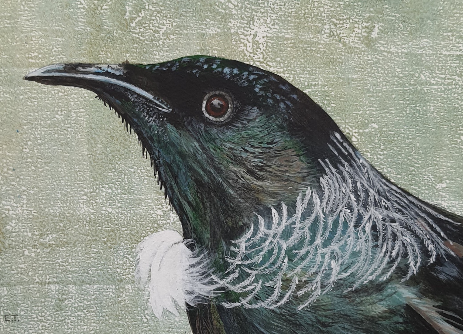 Nieuw Zeelandse tui op een monoprint