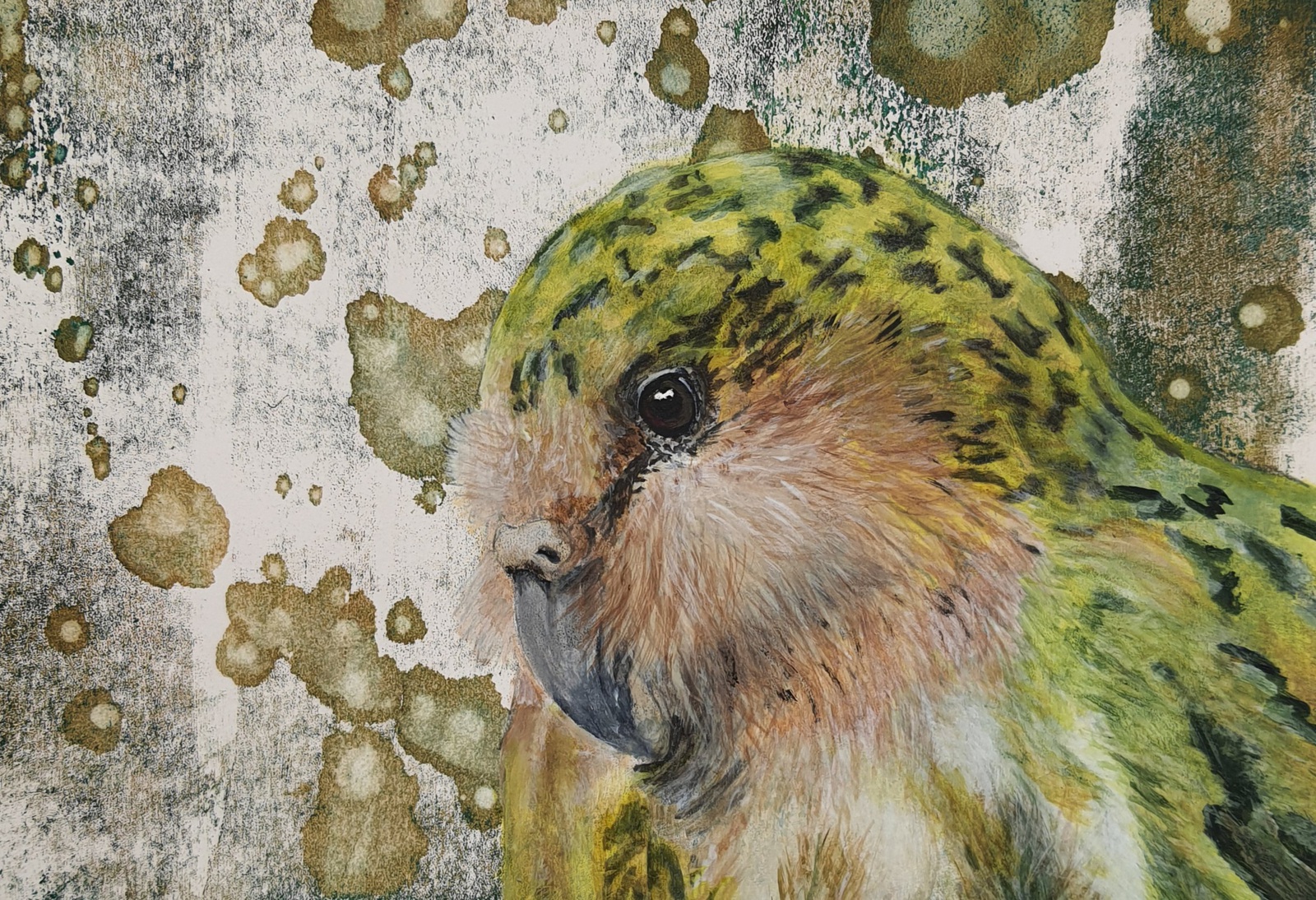 Nieuw Zeelandse Kakapo op een monoprint