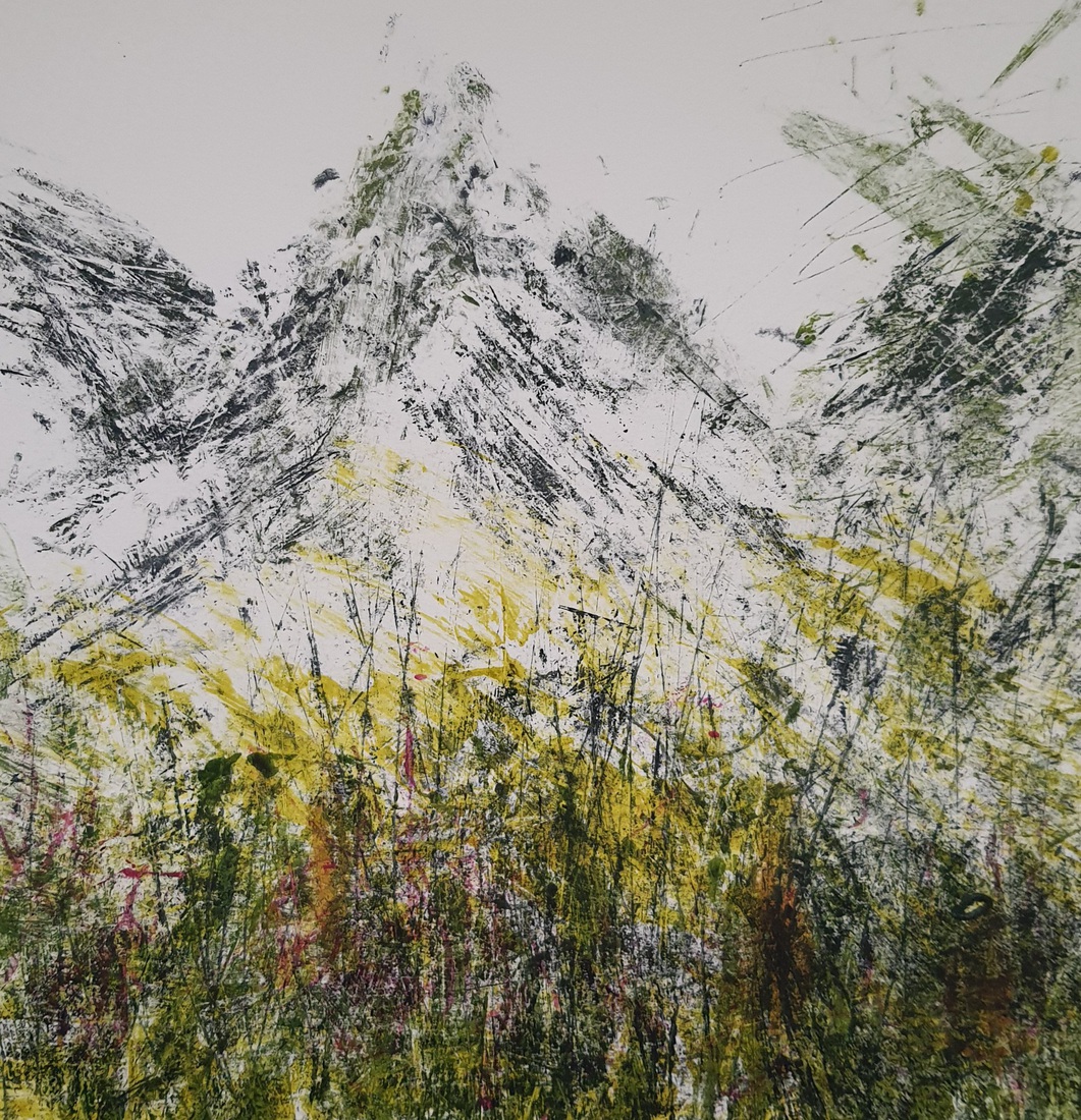 Bloemenweide in de alpen