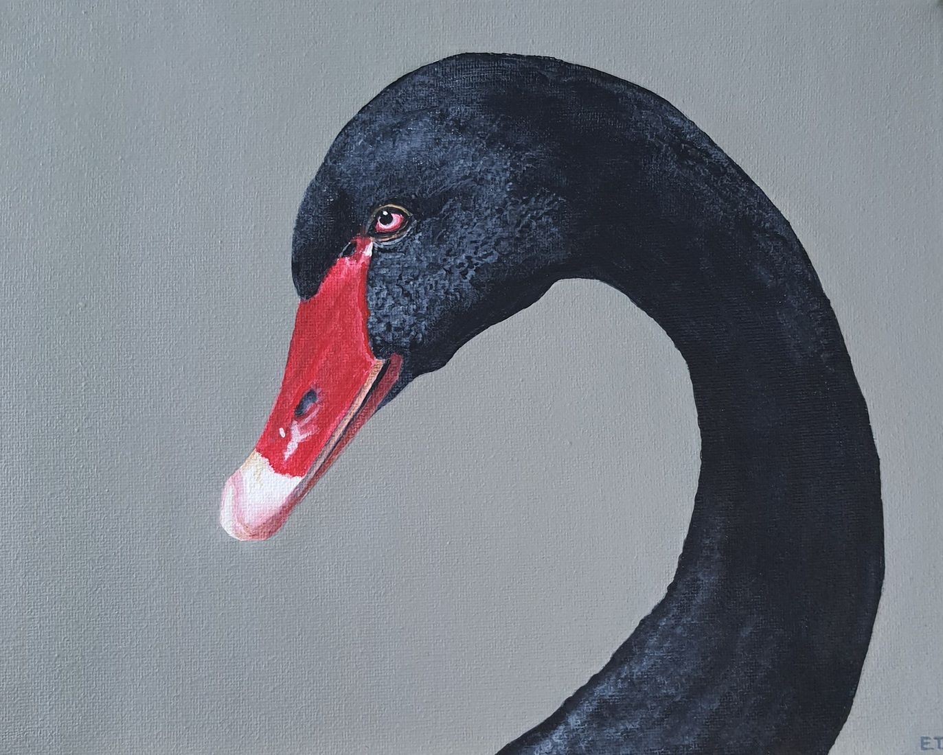 Zwarte Zwaan portret