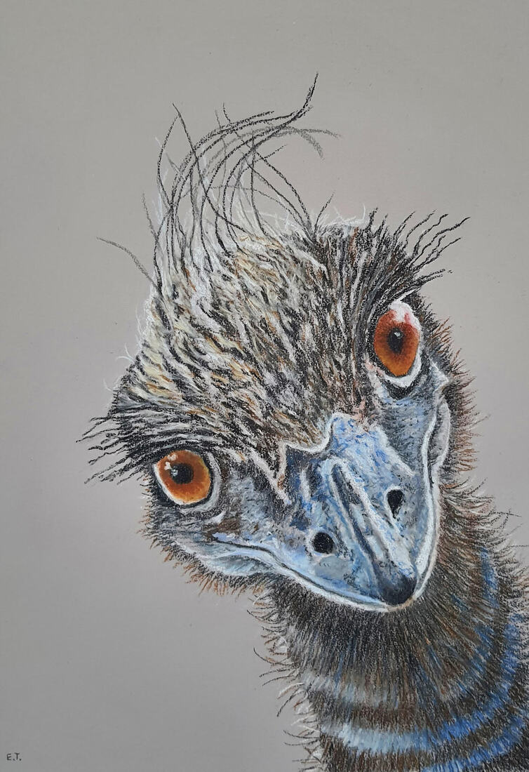 Emu portret