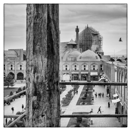 The bird and the bike پرنده و دوچرخه