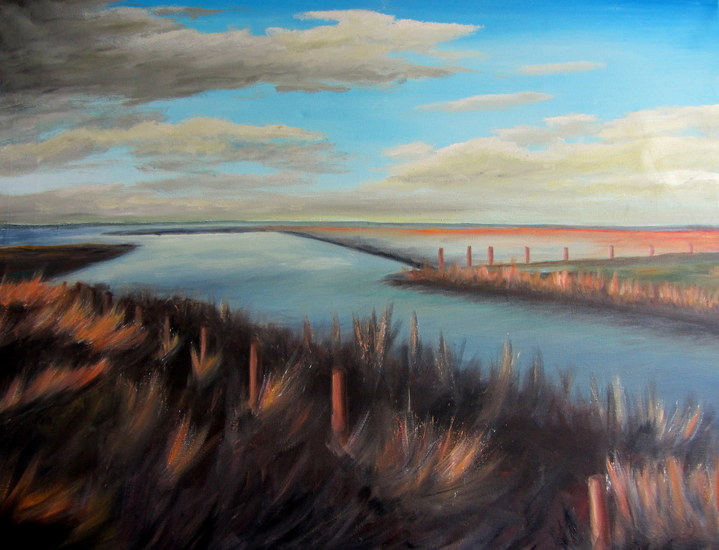 Waddenzee Zwarte Haan