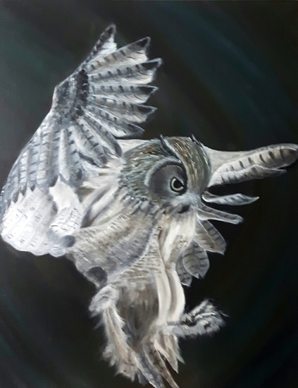 Vliegende Uil